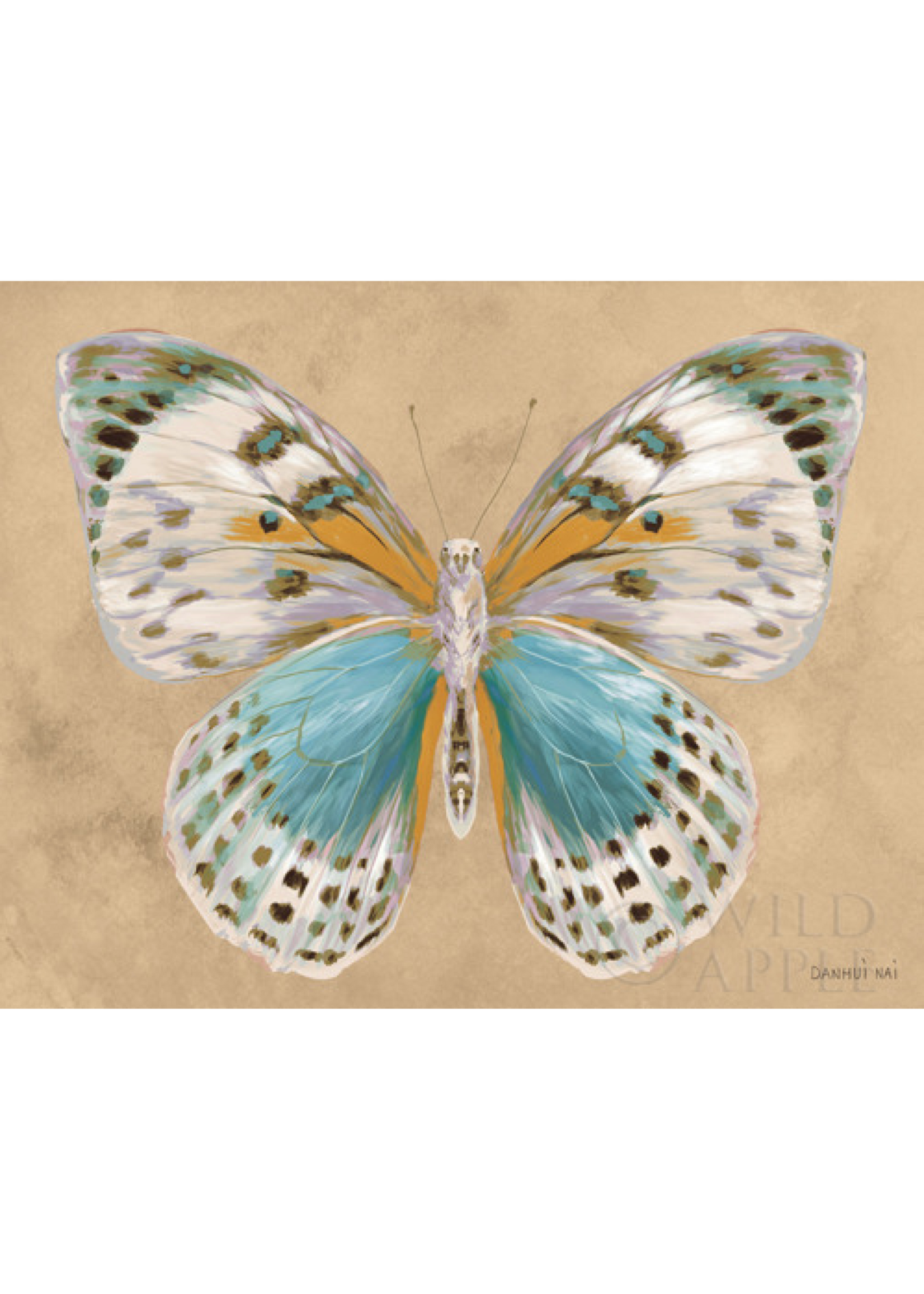 Butterfly IV Beauty