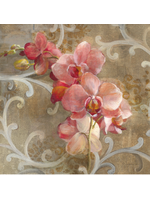 Pink Orchid