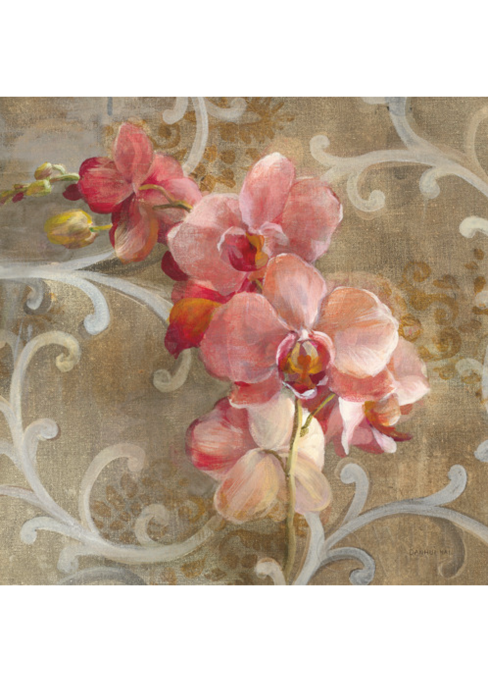 Pink Orchid