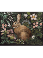 Flora and Fauna