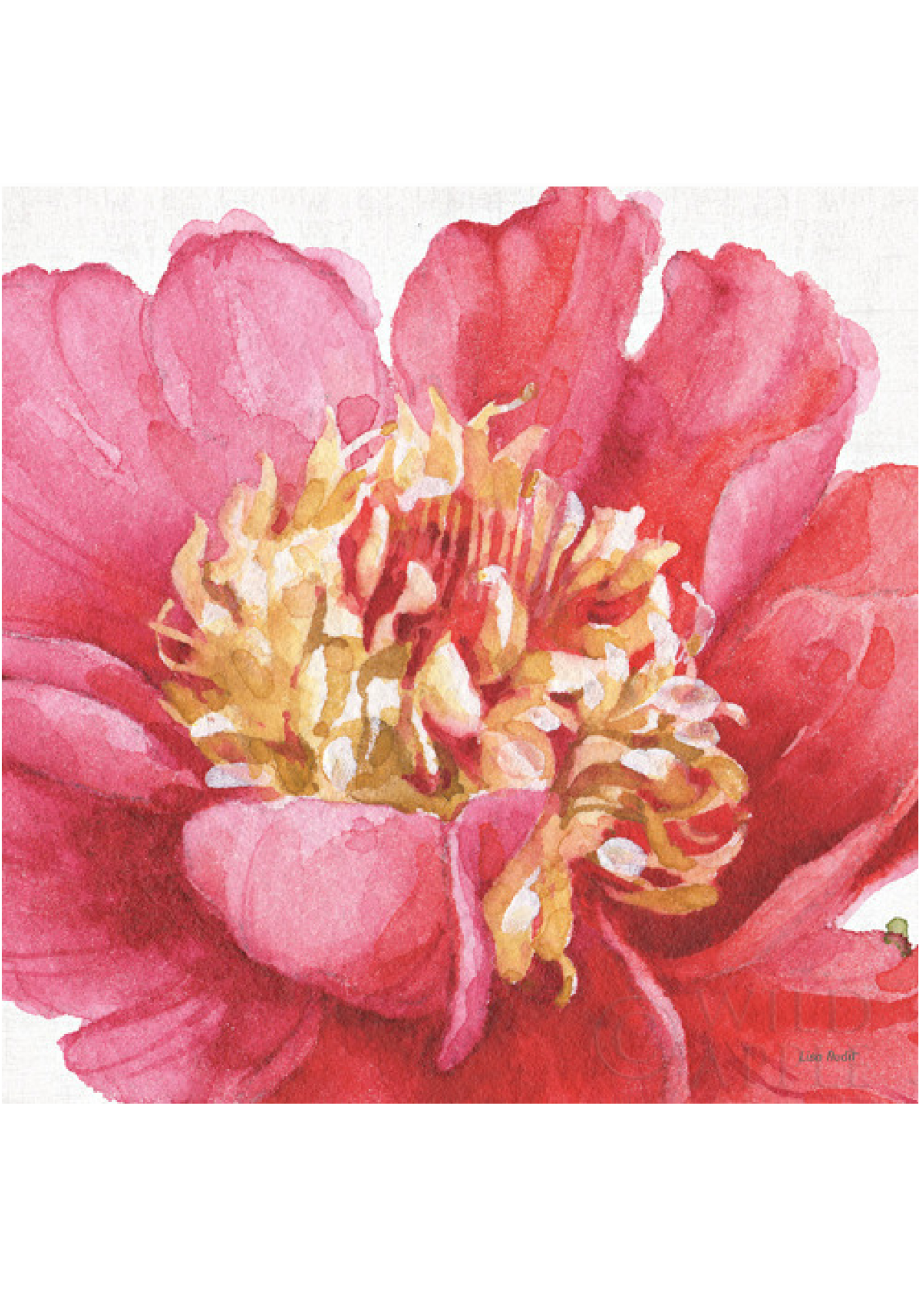 Pink Garden