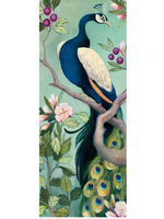 Pretty Peacock 1