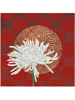 Morning Chrysanthemum