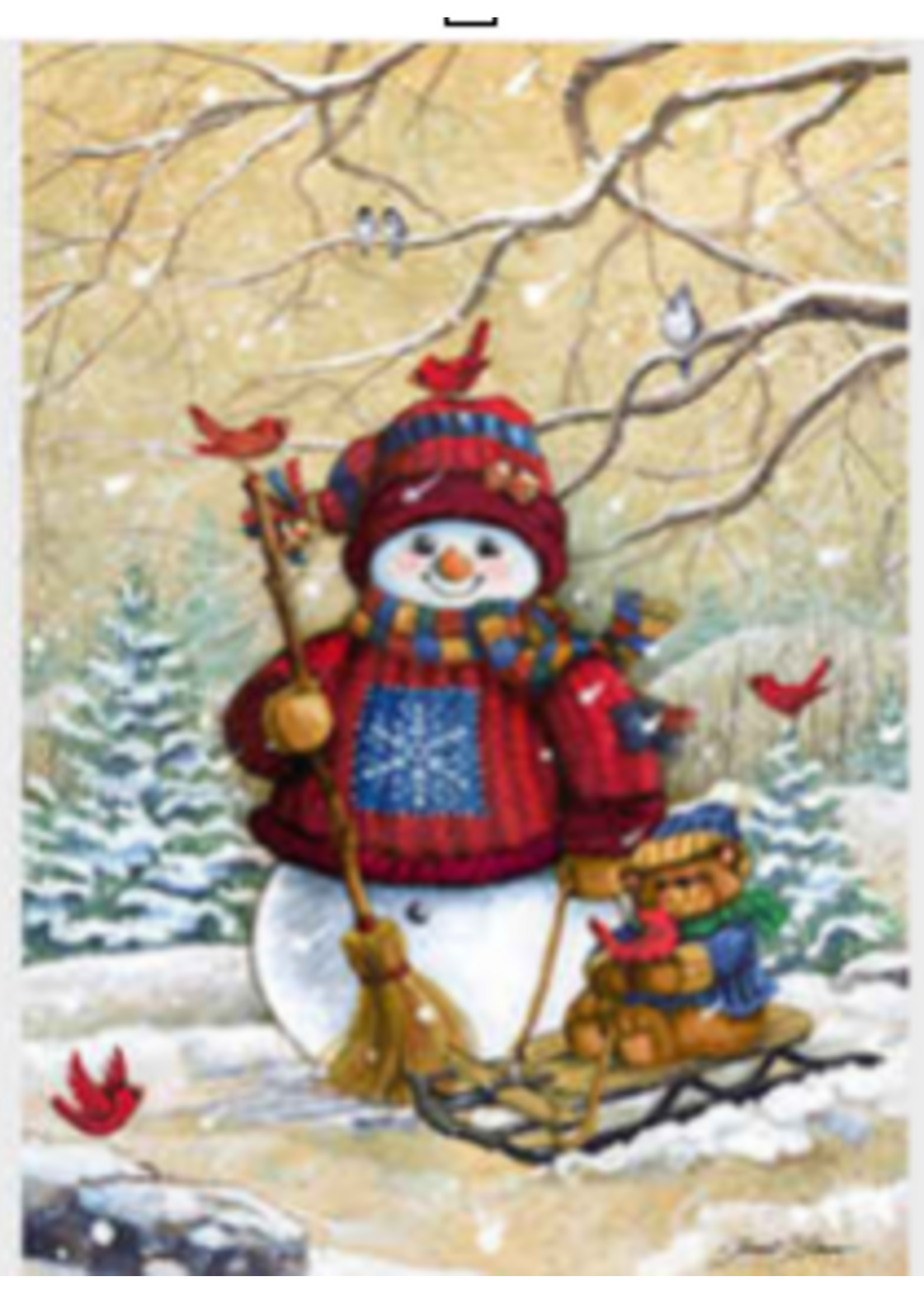 Snow Pal