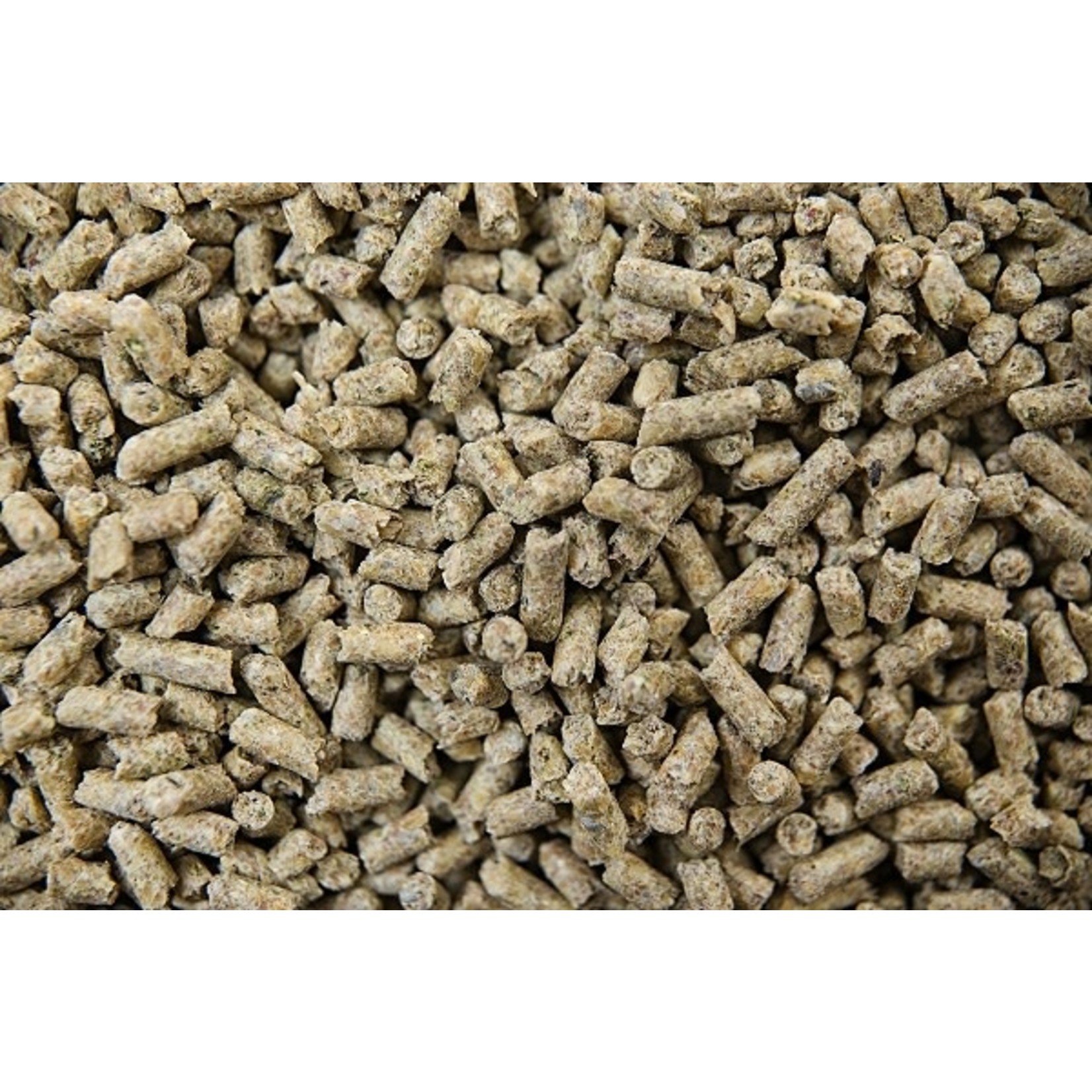 Buckeye Nutrition Gro'N Win Pellets - 22.7kg