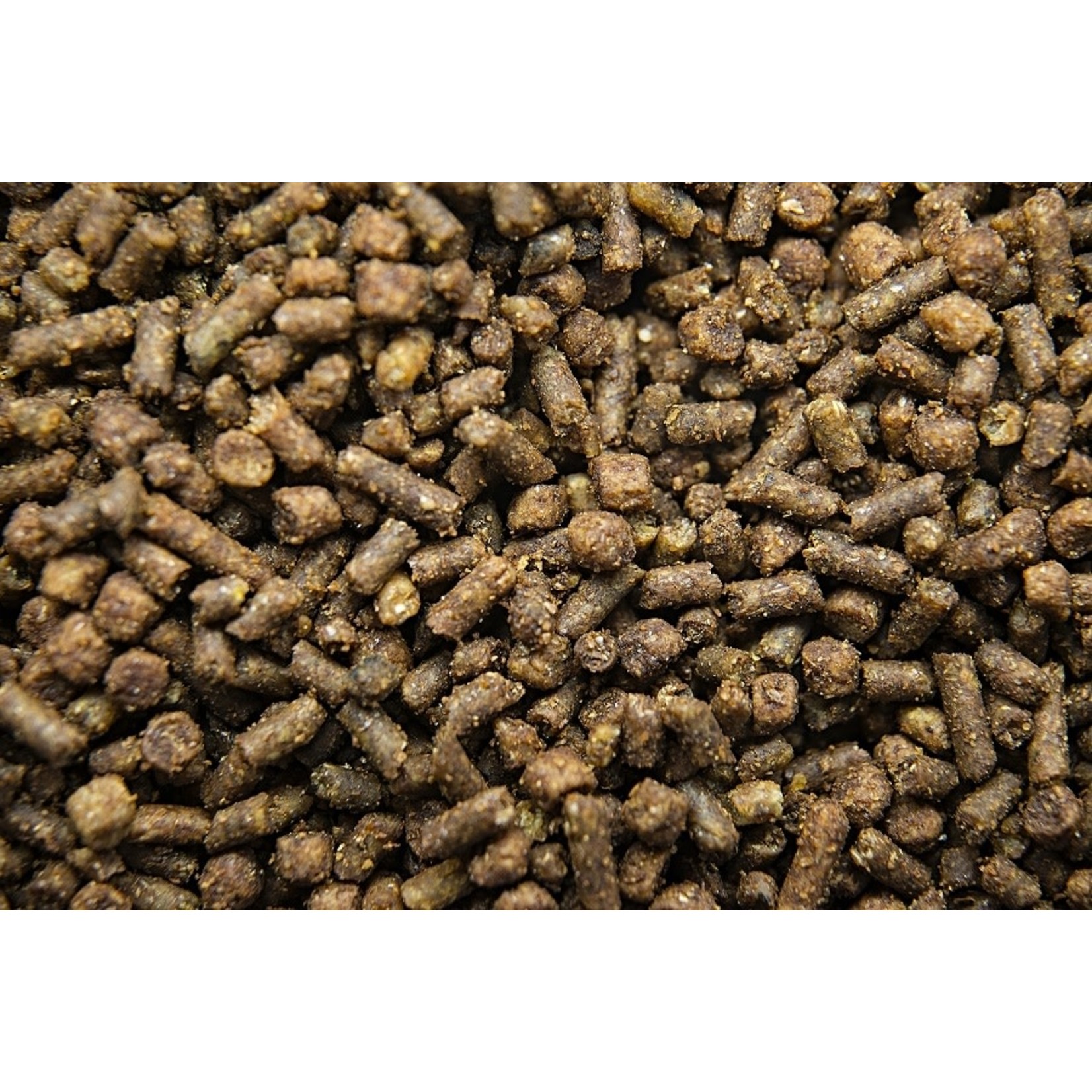 Buckeye Nutrition Cadence Ultra - 22.7kg