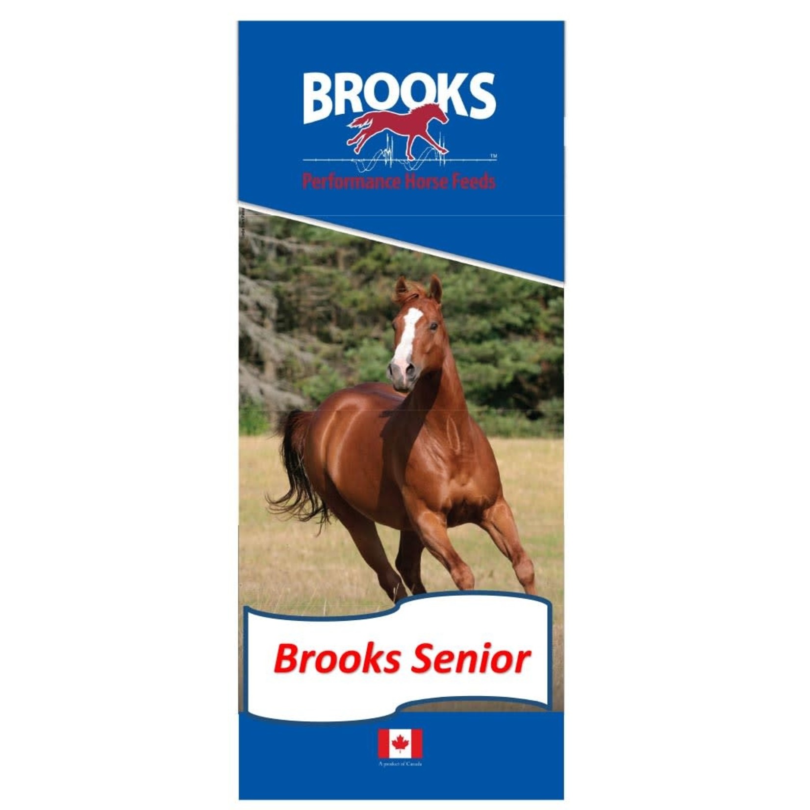 Brooks Brooks Senior Texturized