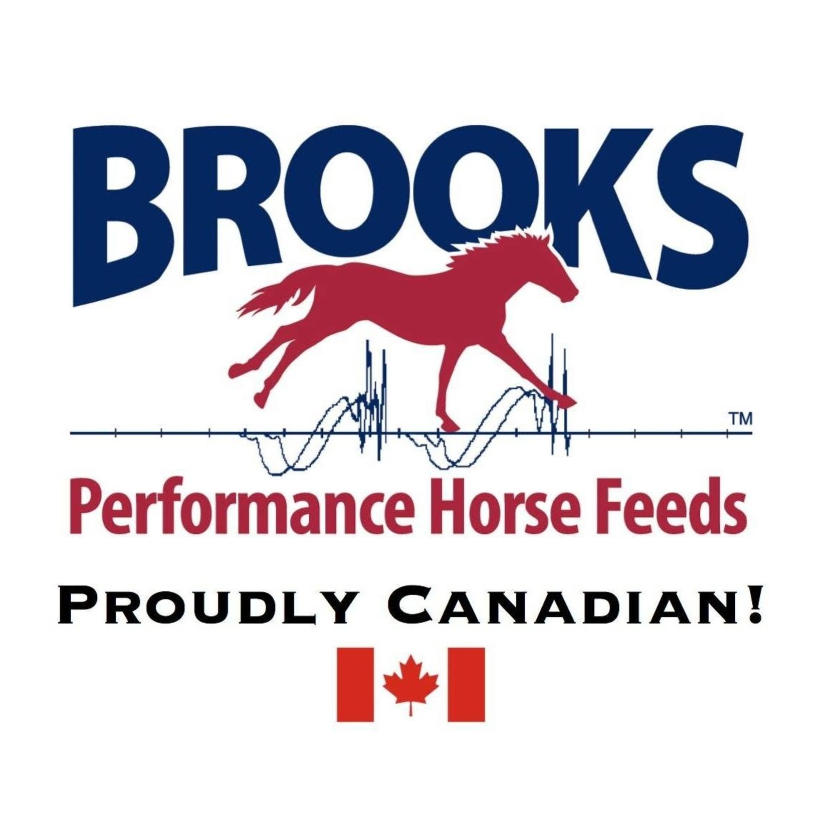 Brooks All Phase 20 - 25kg