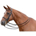 Ascot Equestrian Products Weymouth Raised Bridle