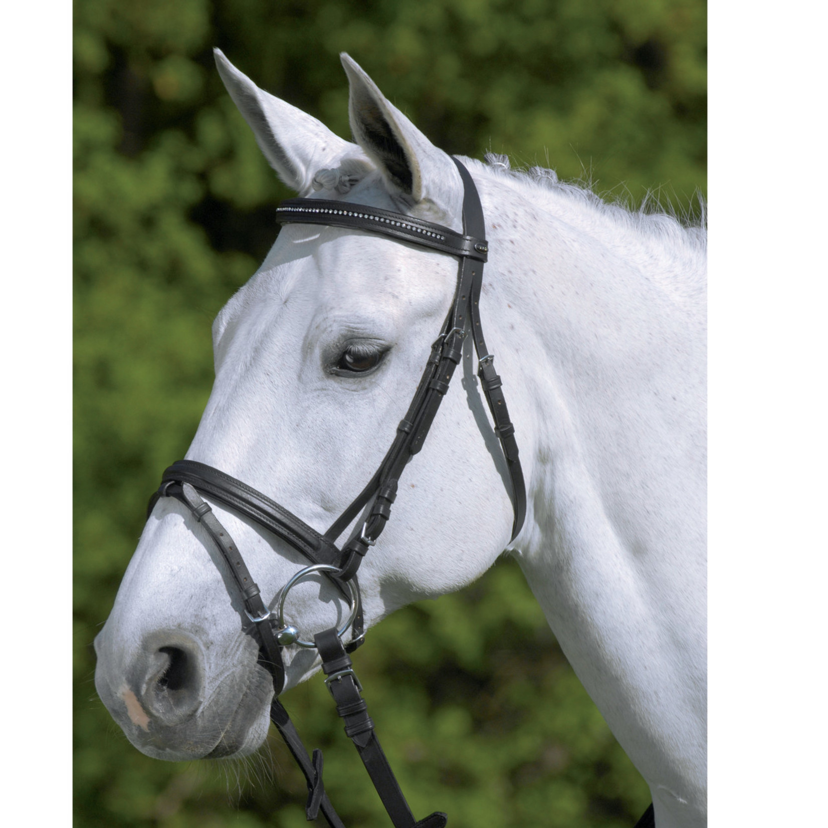 Waldhausen "Diamond" Bridle