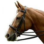 Excelle Dressage Bridle