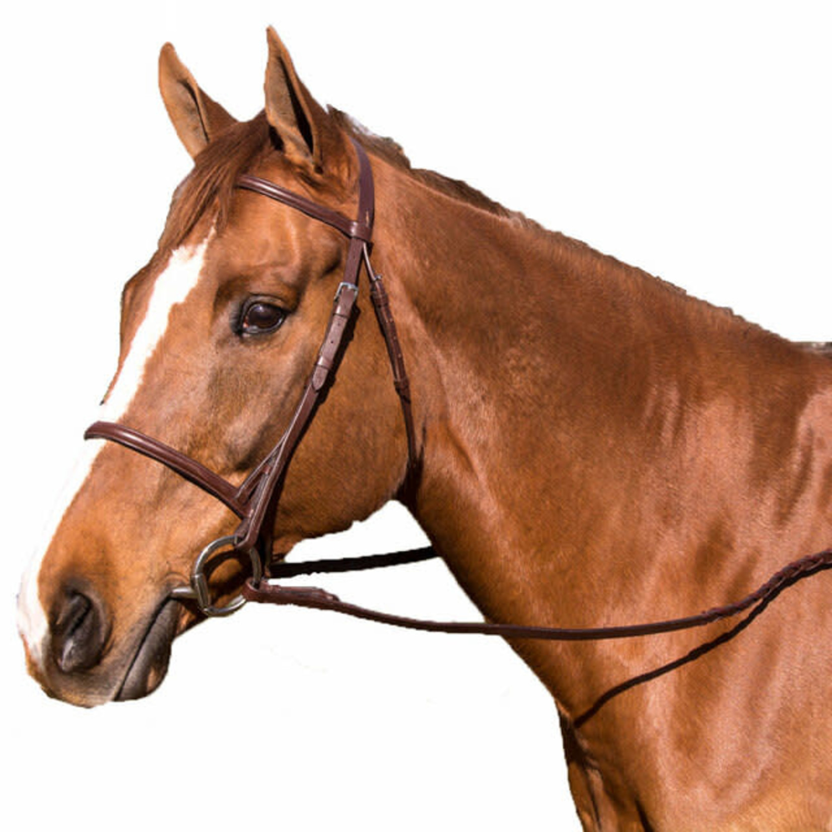 Intrepid International Legacy Raised Bridle