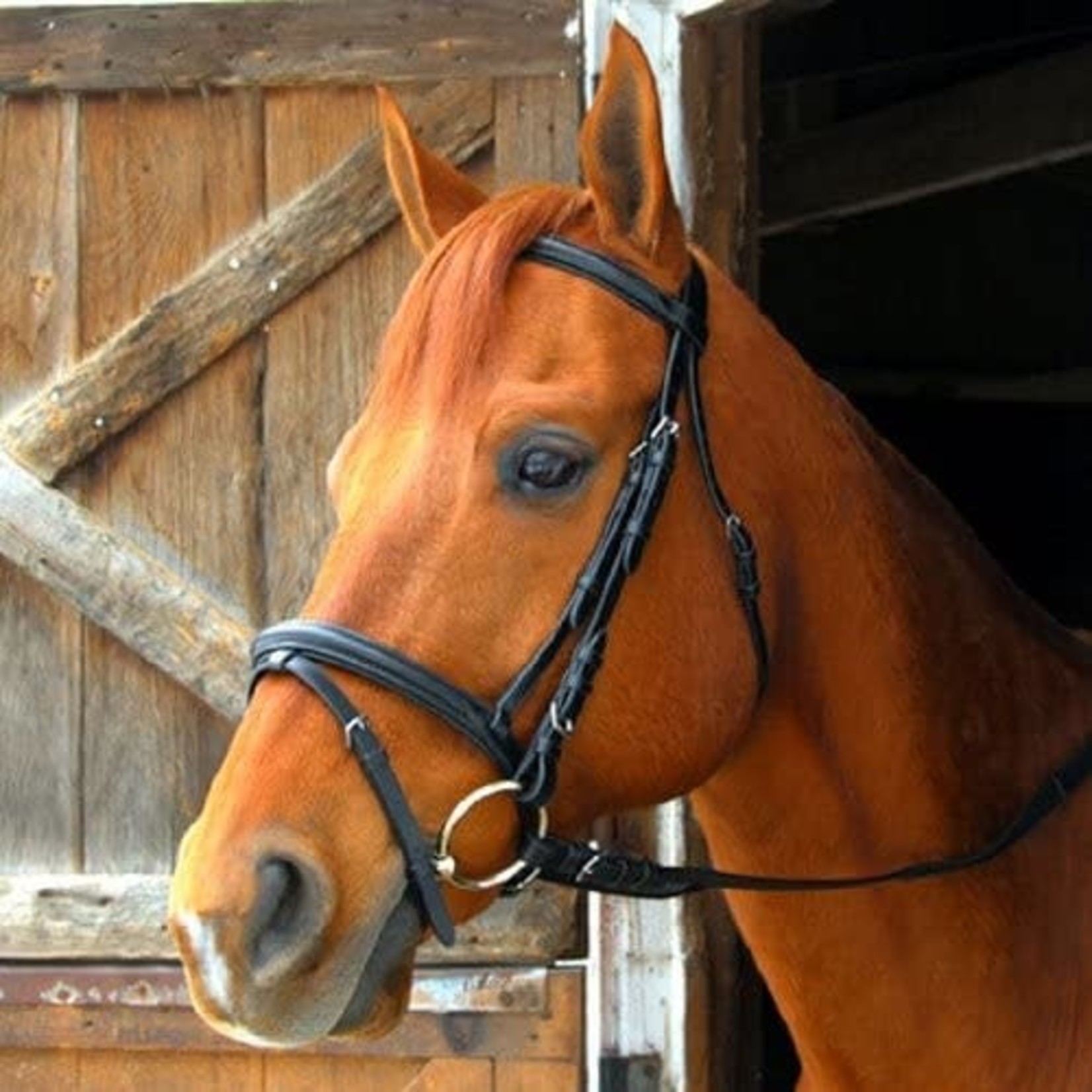 Exselle Rolled Snaffle Bridle