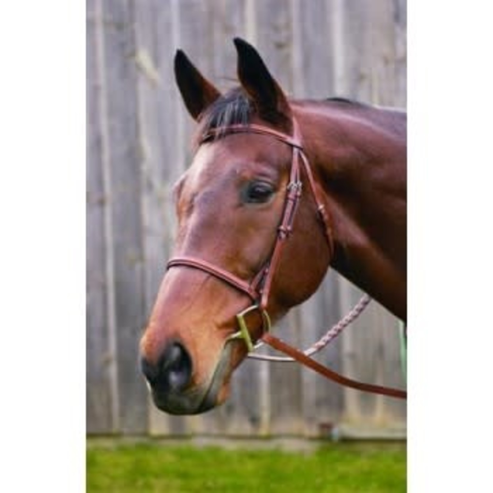 Henri De Rivel HDR Plain Raised Bridle