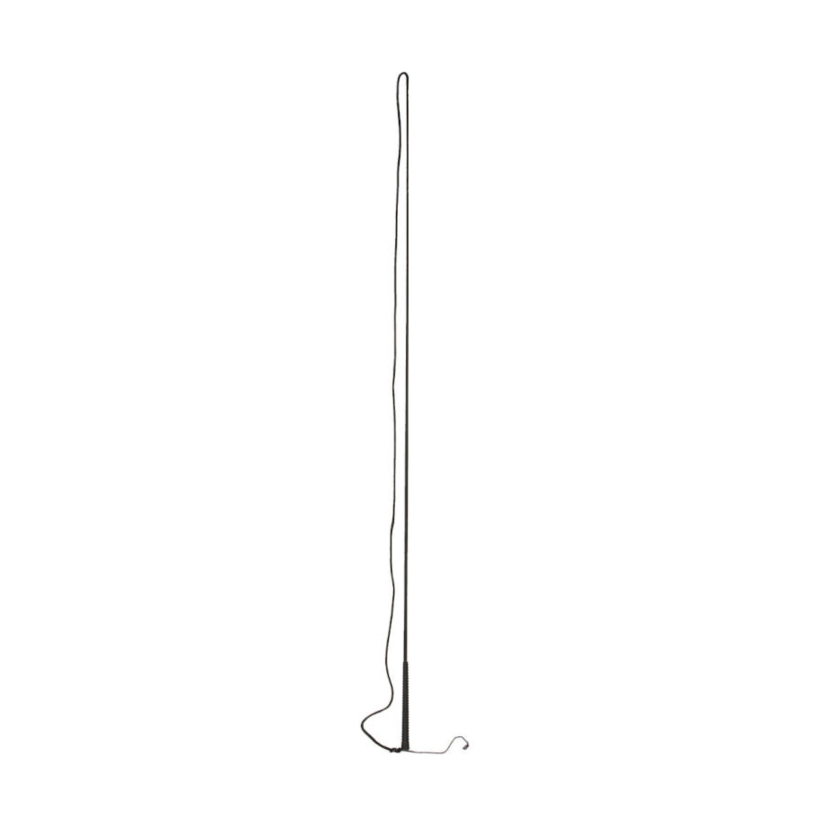 Canadian Saddlery Black Lunge Whip - 5'
