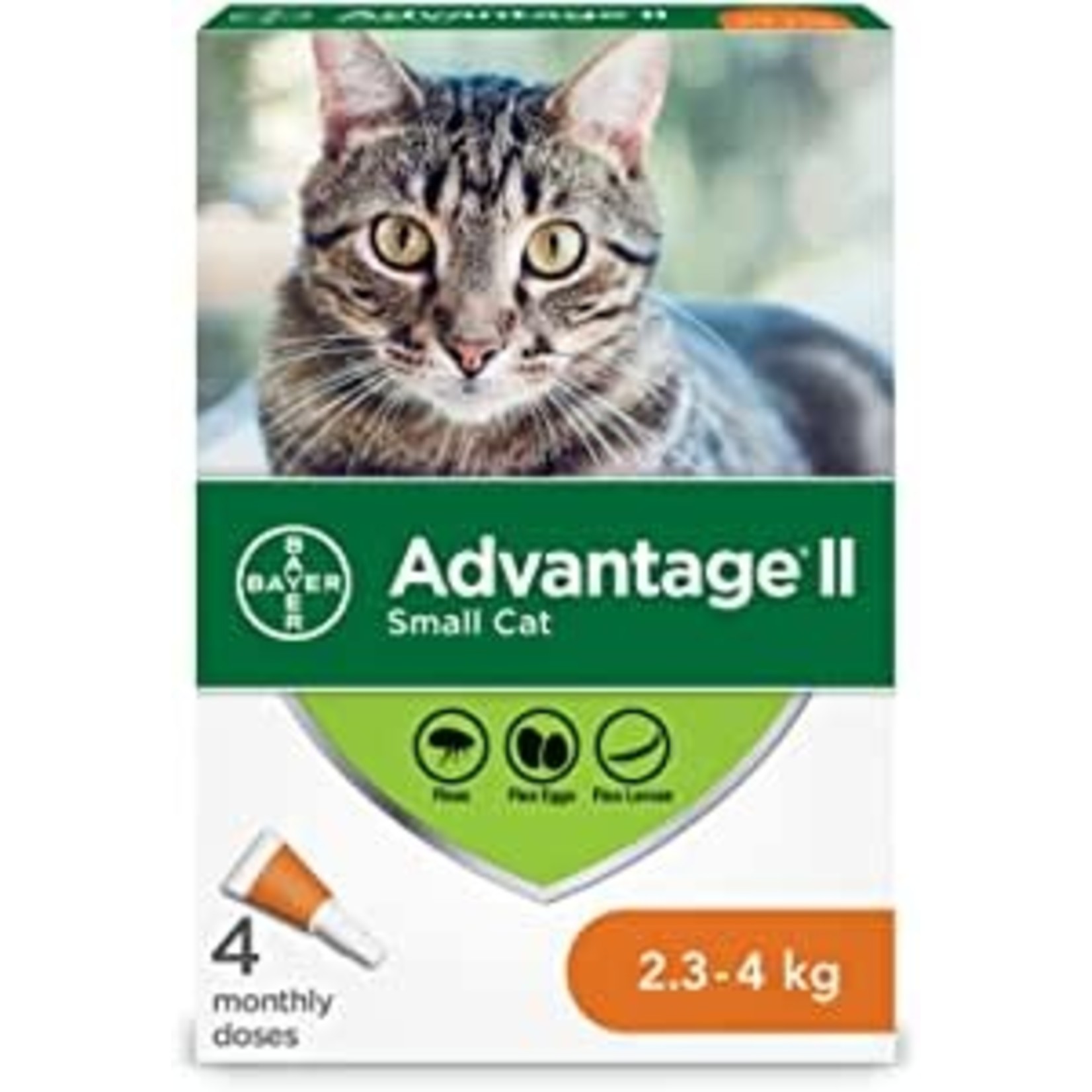 Elanco Advantage II - Cat