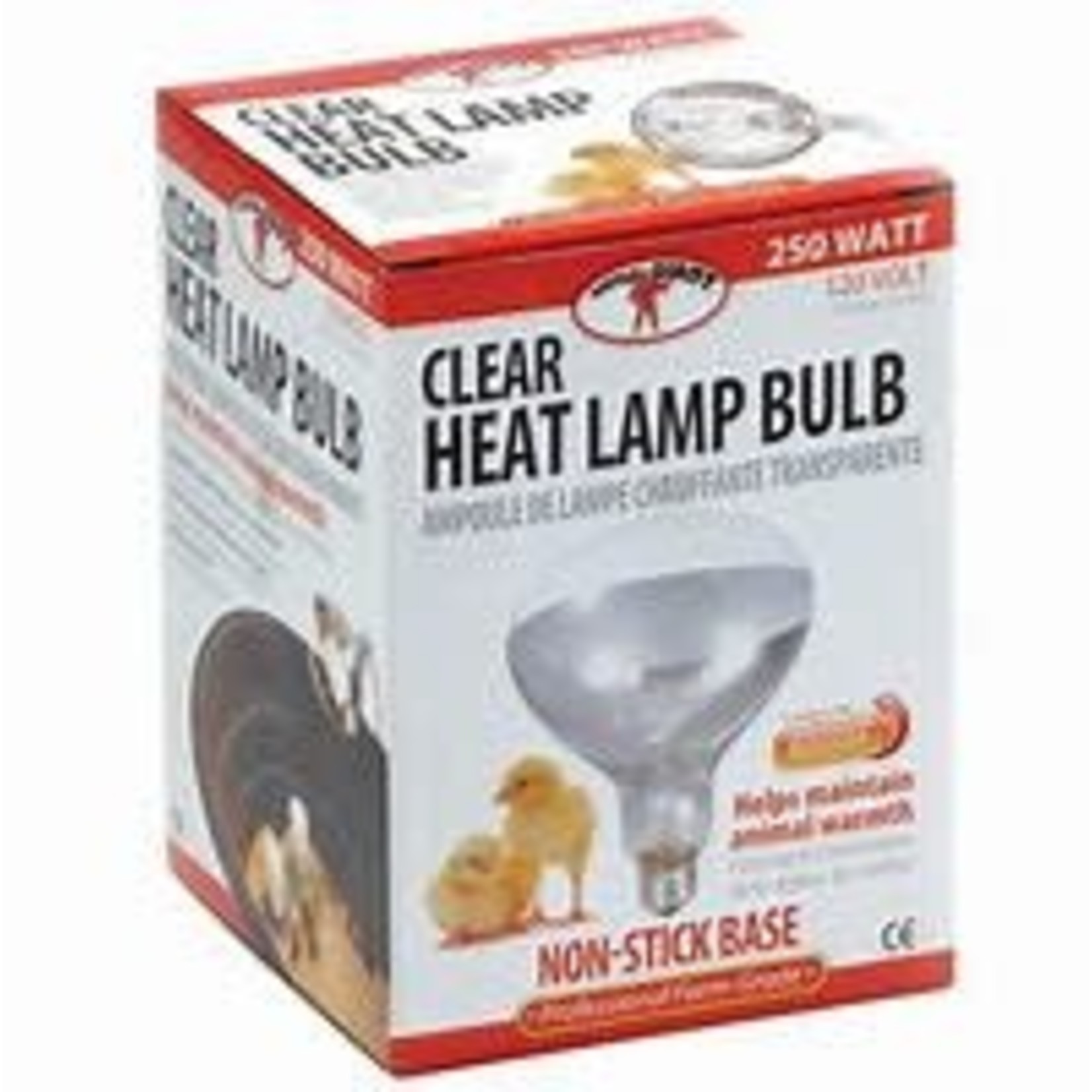 Little Giant Heat Lamp Bulb