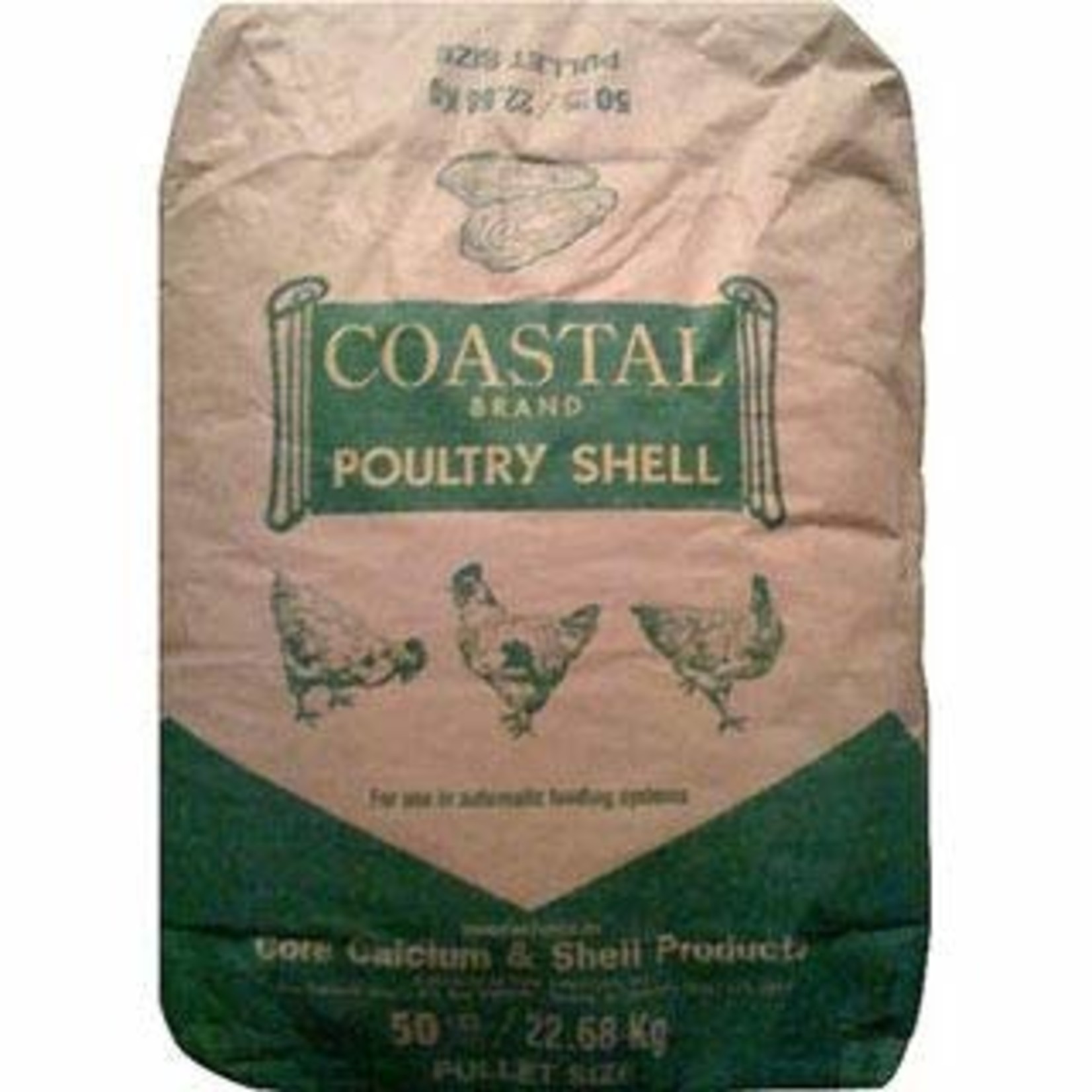 Coastal Oyster Shells