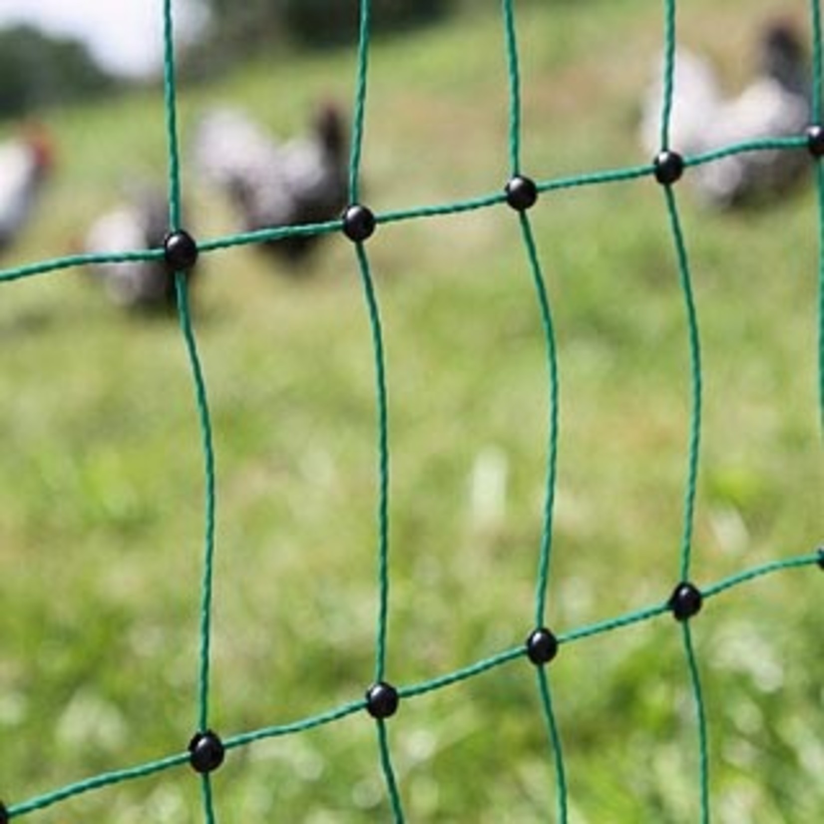 Electric Poultry Fence - Stick and Stone Tack Shop