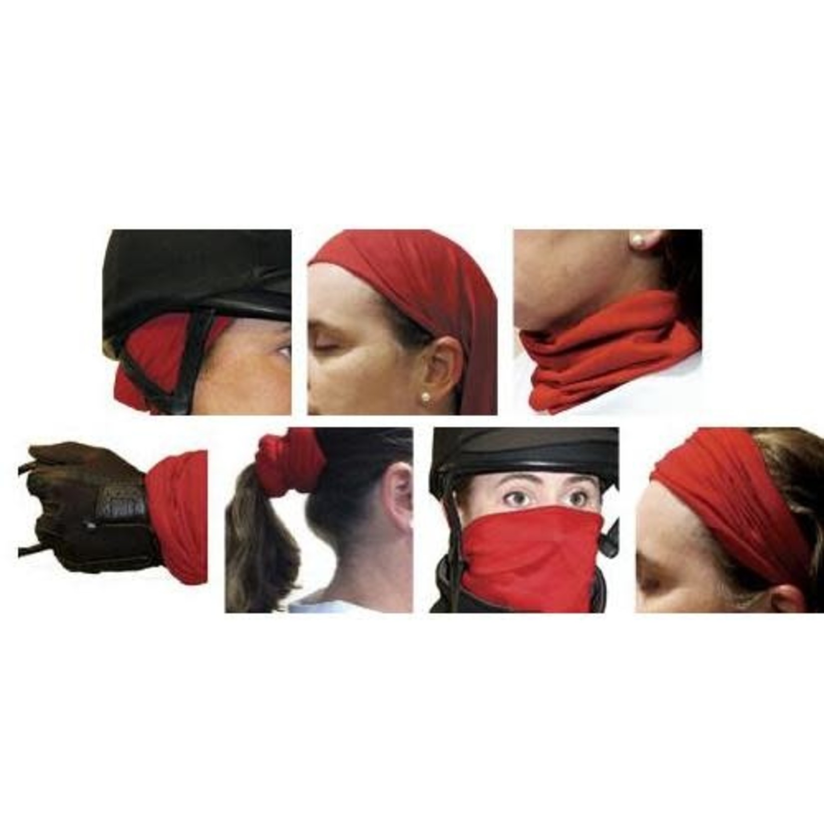 EriQuestrian Exercise Bandana