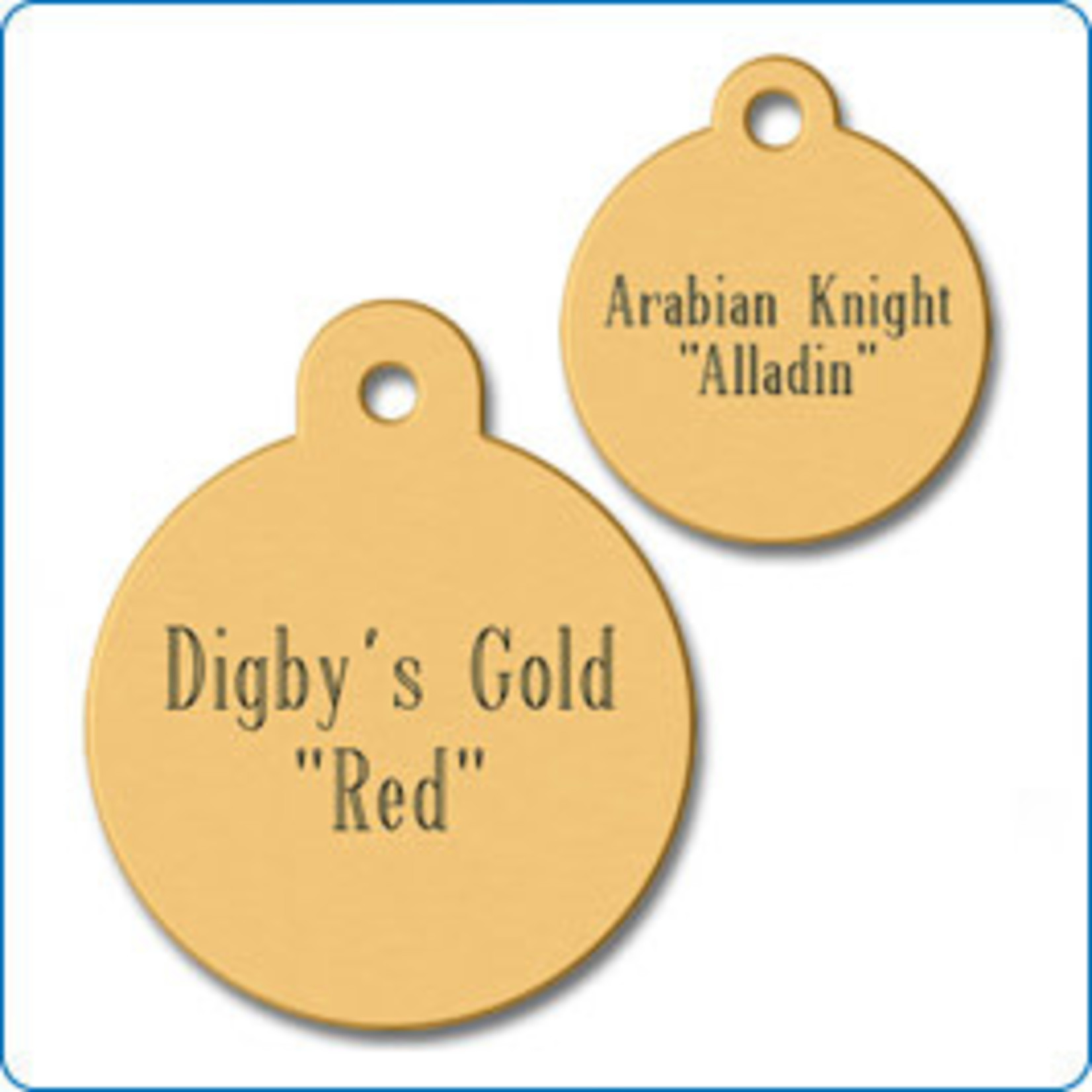 iMARC Brass Circle Tags