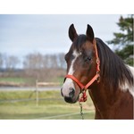 Country Legends Nylon Soft Touch Halter
