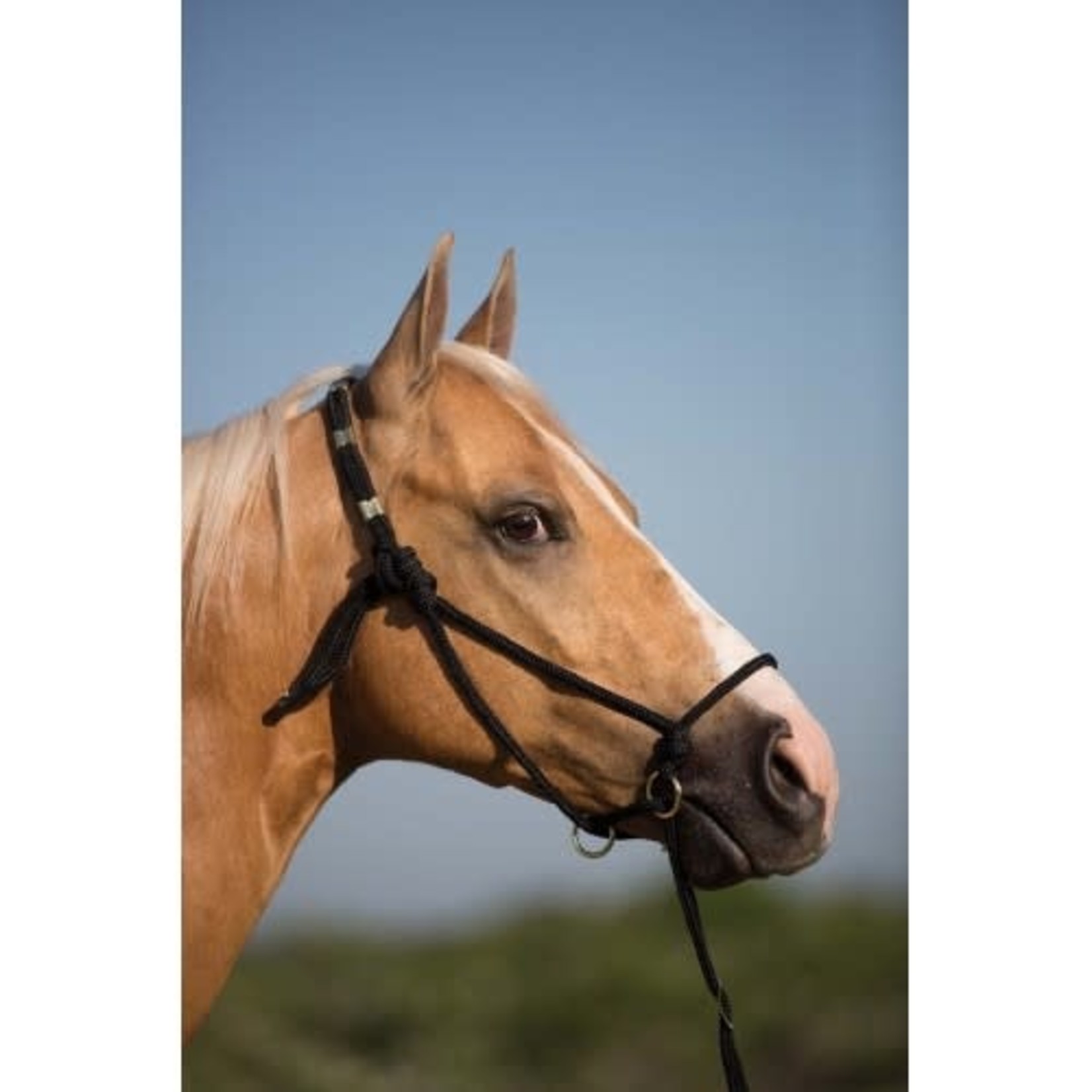 Mustang Control Rope Halter