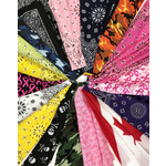 Hav-A-Hank Bandanas