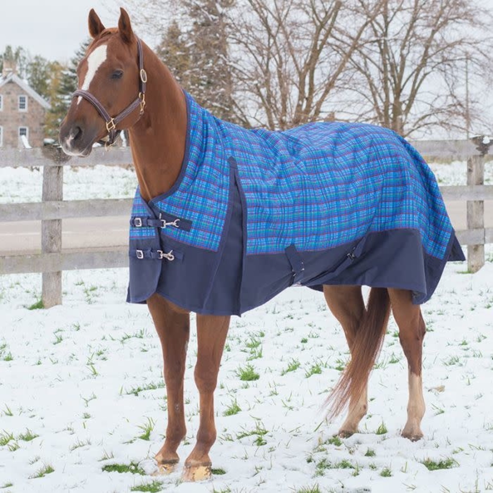 Canadian Horsewear Maxim Rainsheet