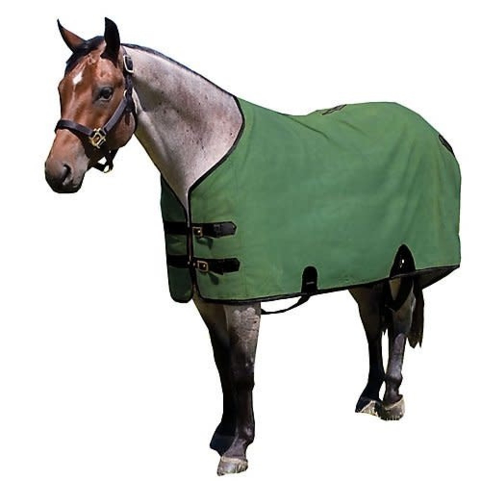 Green 420D Stable Blanket by Horse Sense at Fleet Farm