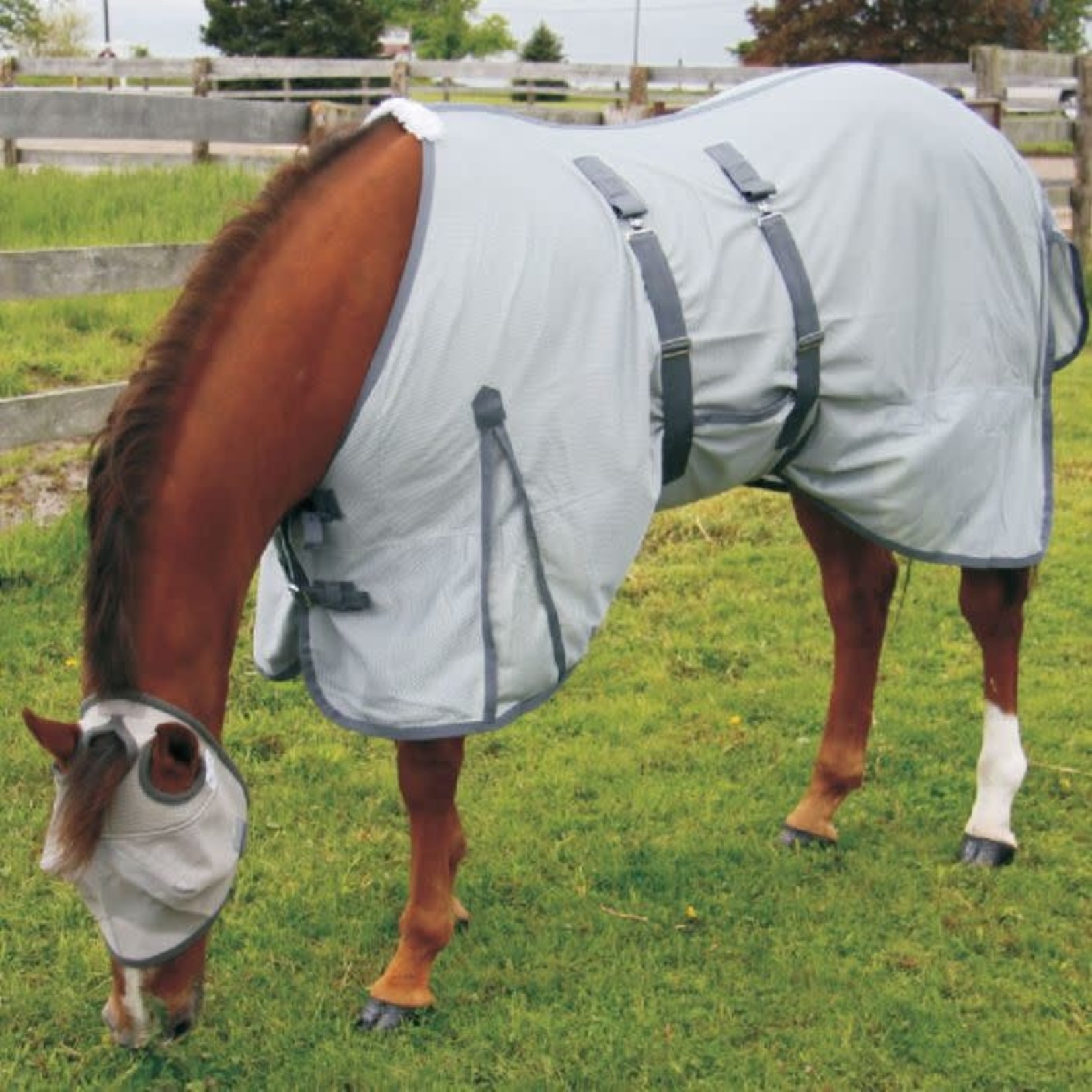 Canadian Horsewear Orien 2 800D Fly Sheet