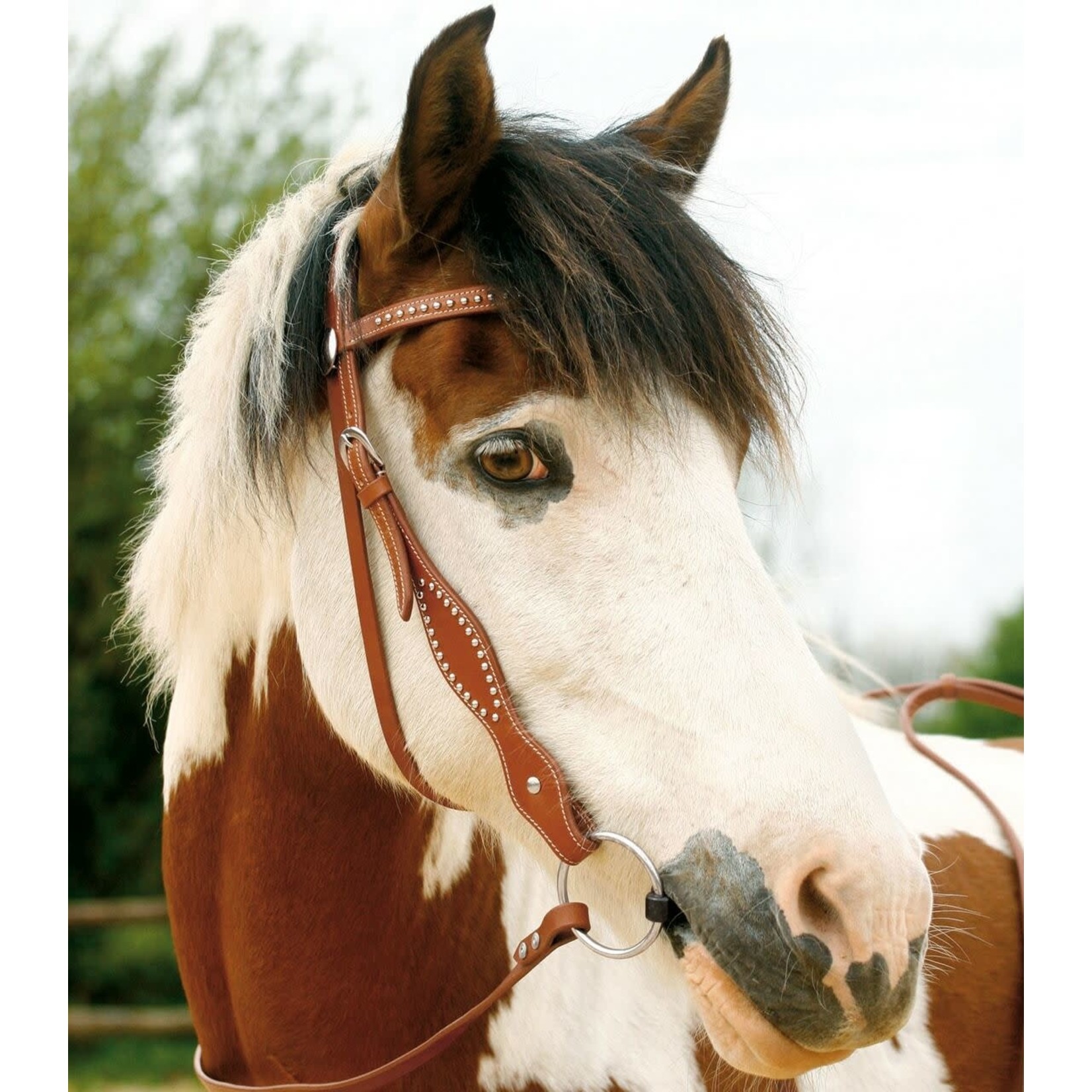 Waldhausen Kansas Western Bridle