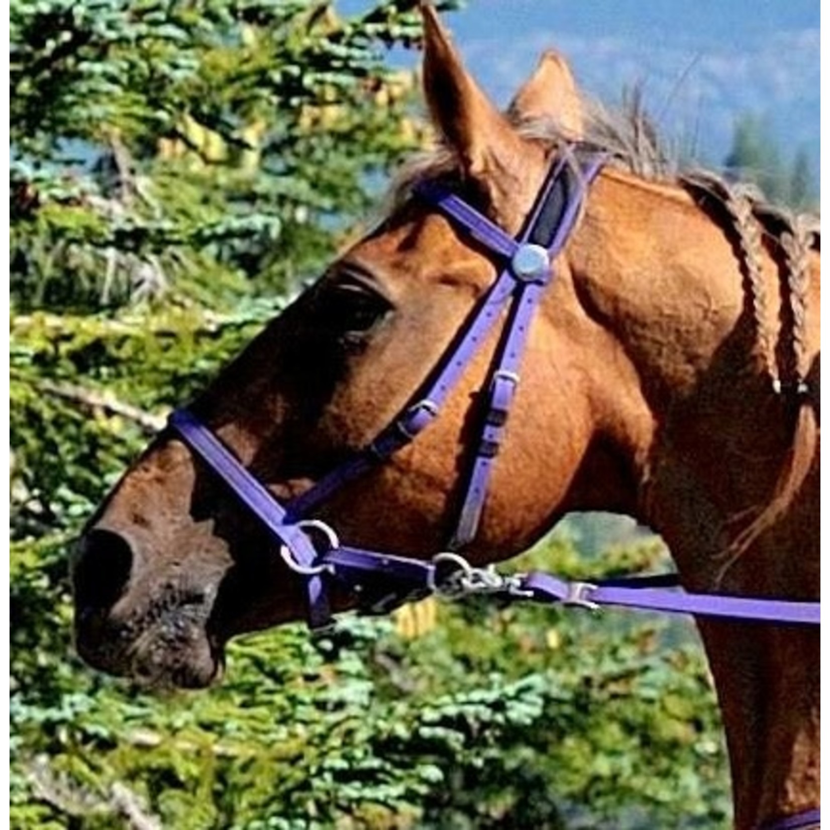 Nurtural Nurtural Bitless Bridle Synthetic with Reins