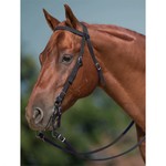 Ger-Ryan Poly Bridle Set