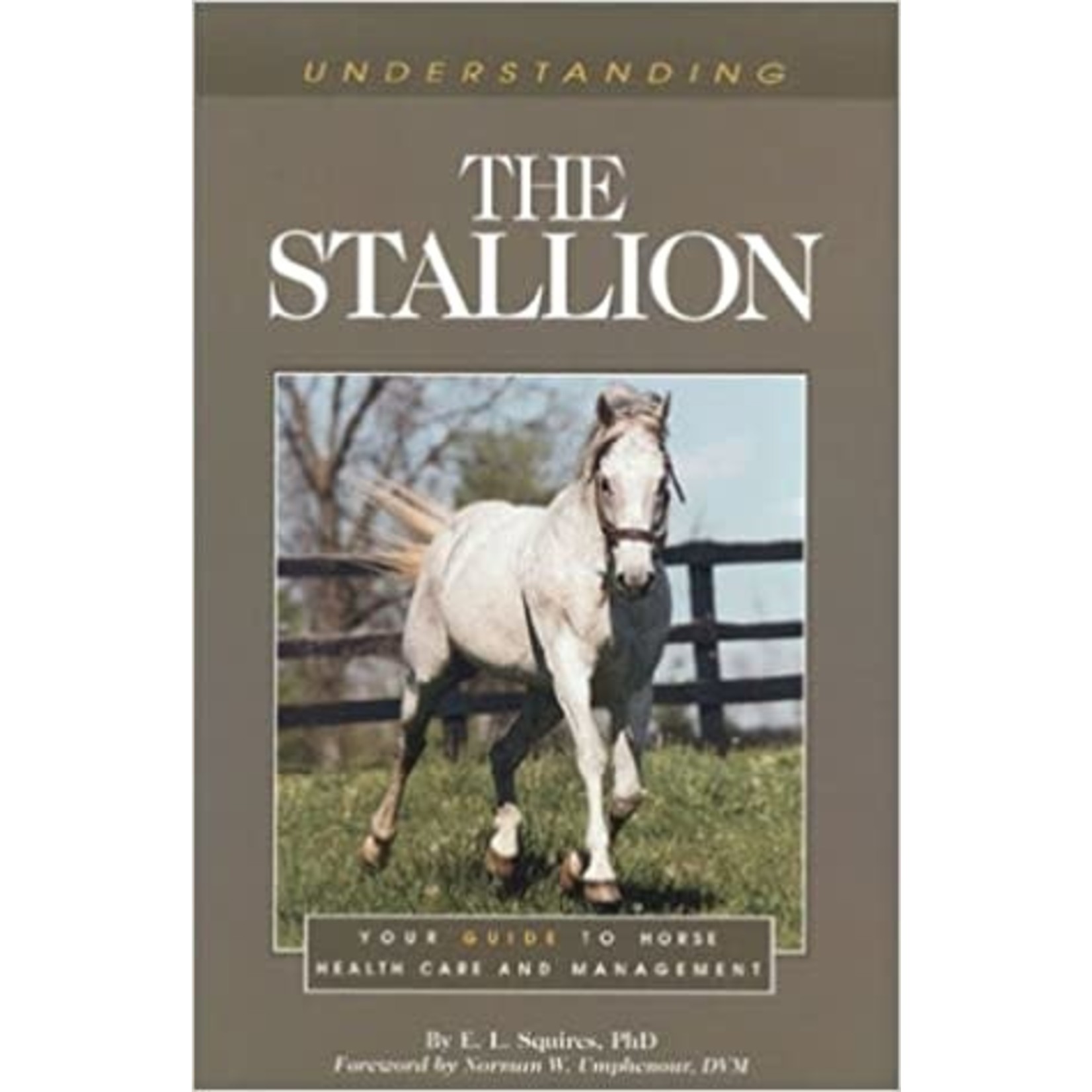 Understanding the Stallion