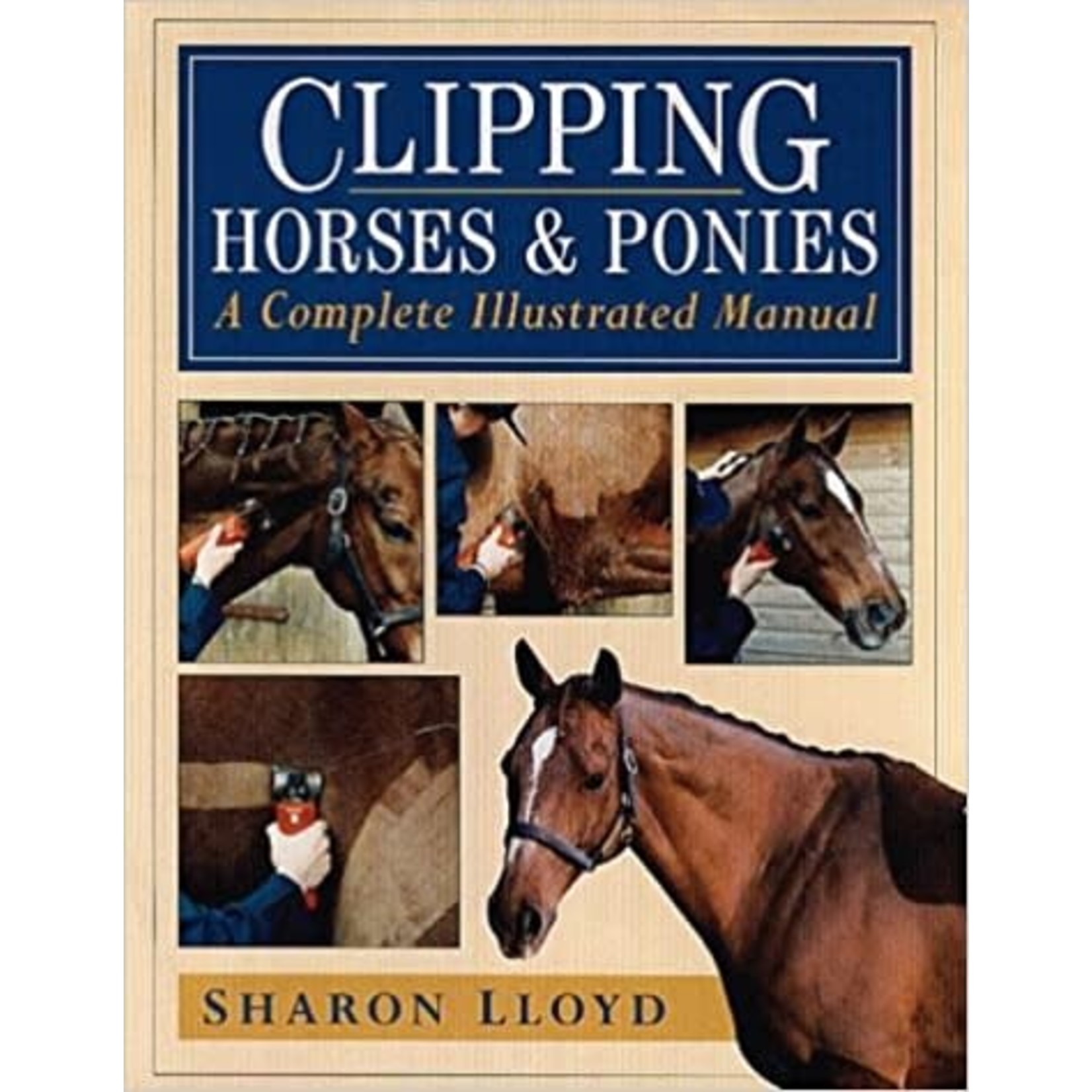 Clipping Horses & Ponies