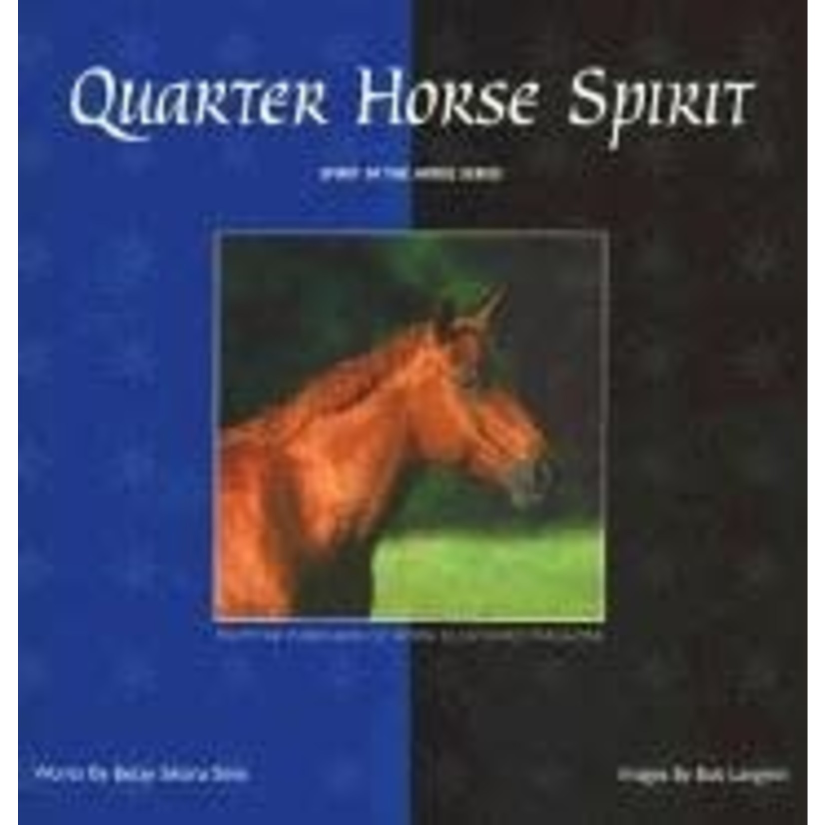 Quarter Horse Spirit