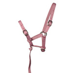 Centurion Supply Nylon Foal Halter