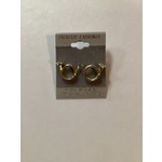 Horn Earrings