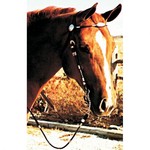 Ger-Ryan Pony Poco Bridle and Reins
