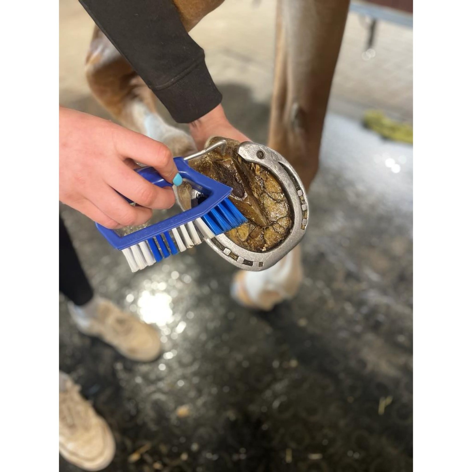 Kelcie Kelcie's Pick Brush - Blue