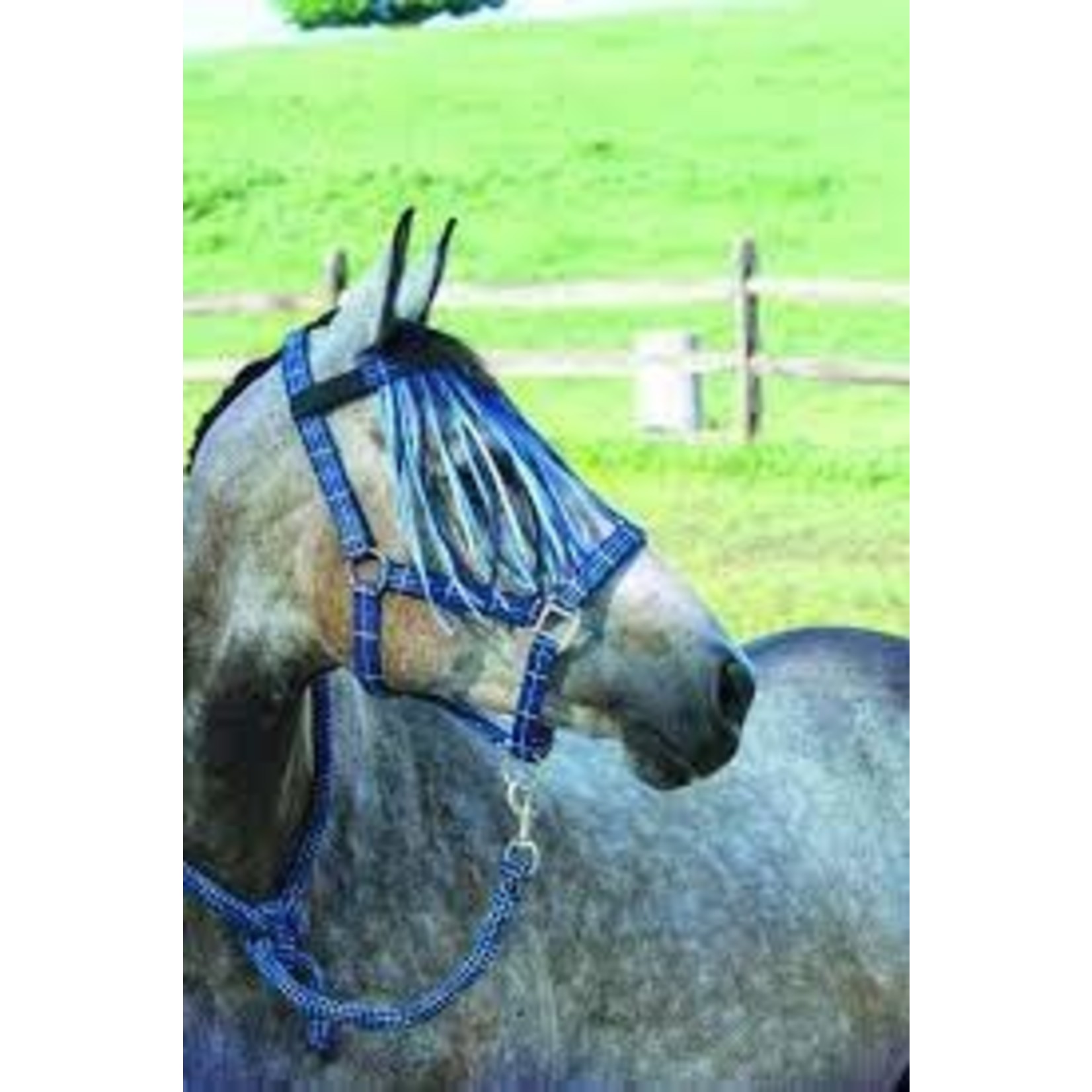 Cavalier Check Padded Halter with Fly Fringe & Lead