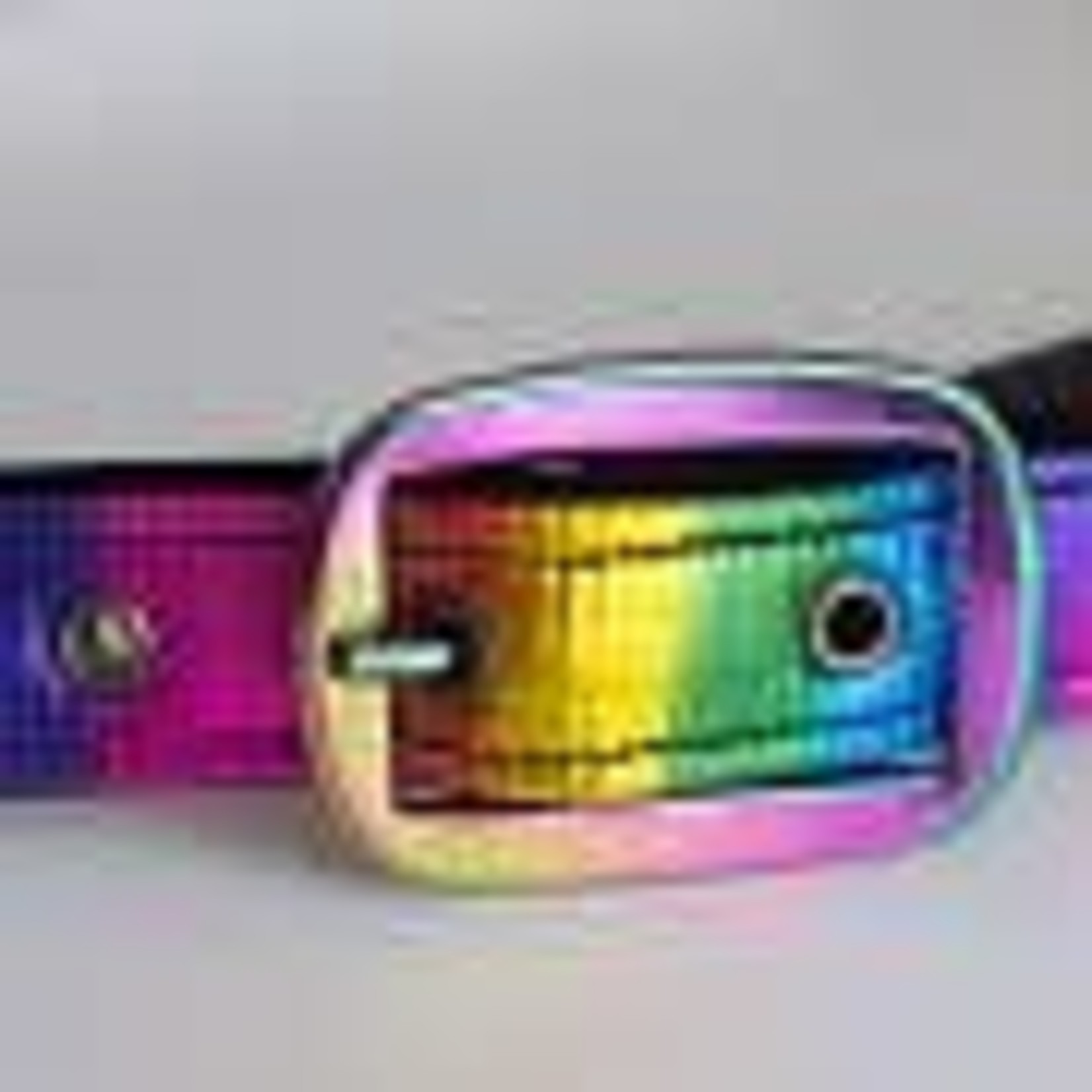 Ger-Ryan Nylon Metallic Rainbow Halter