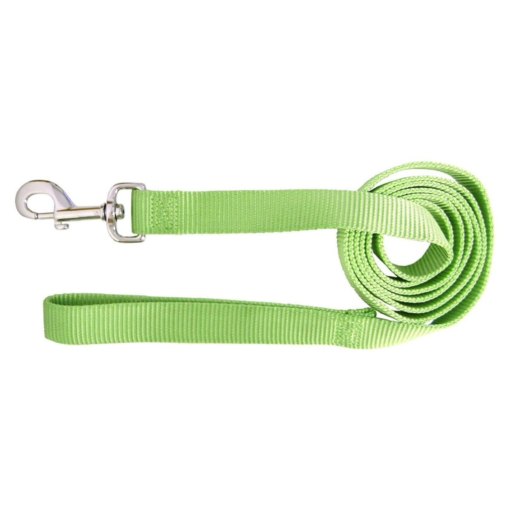 Hamilton 4' Nylon Leash 1" wide