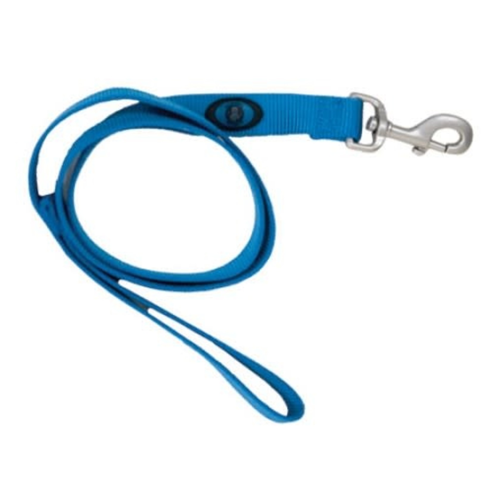 Hamilton 4' Nylon Leash 1" wide