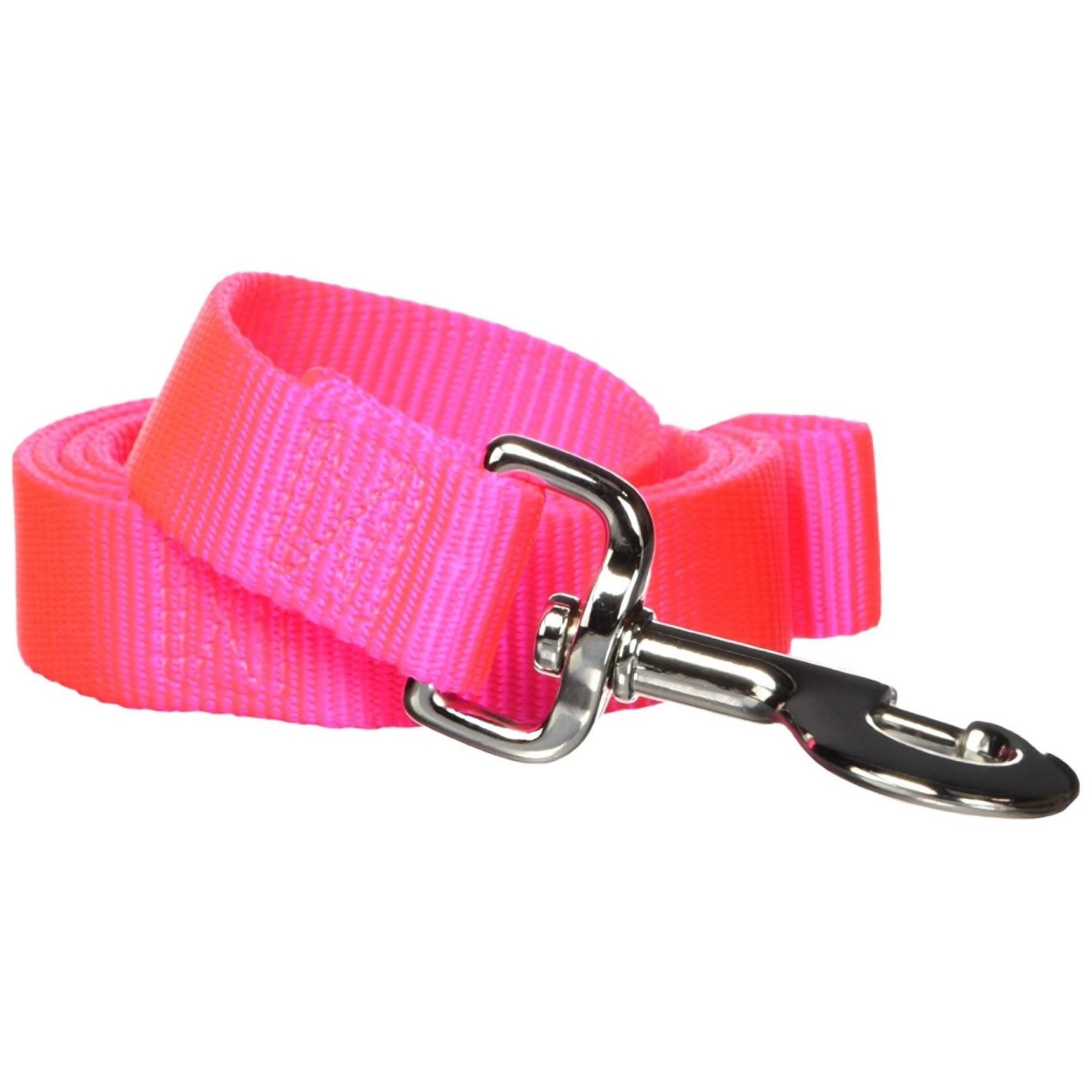 Hamilton 4' Nylon Leash 1" wide