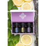 Doterra Introductory Collection