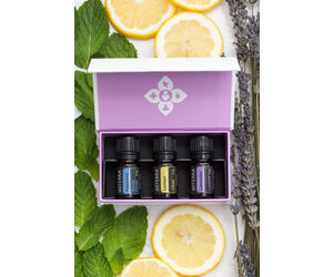 Introductory Collection - Stick and Stone Tack Shop