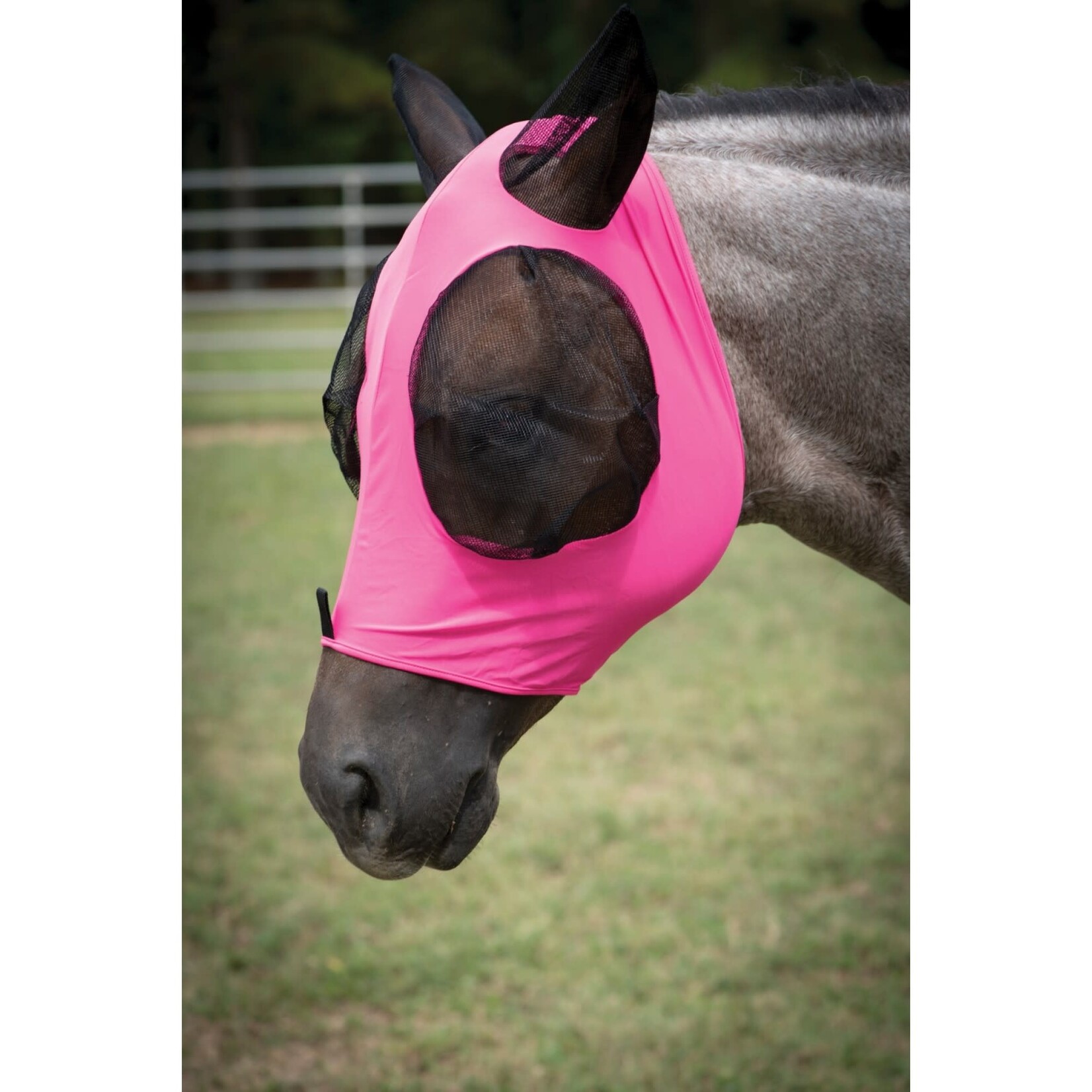 Equi-Sky Equi-Sky Lycra Fly Mask/with ears