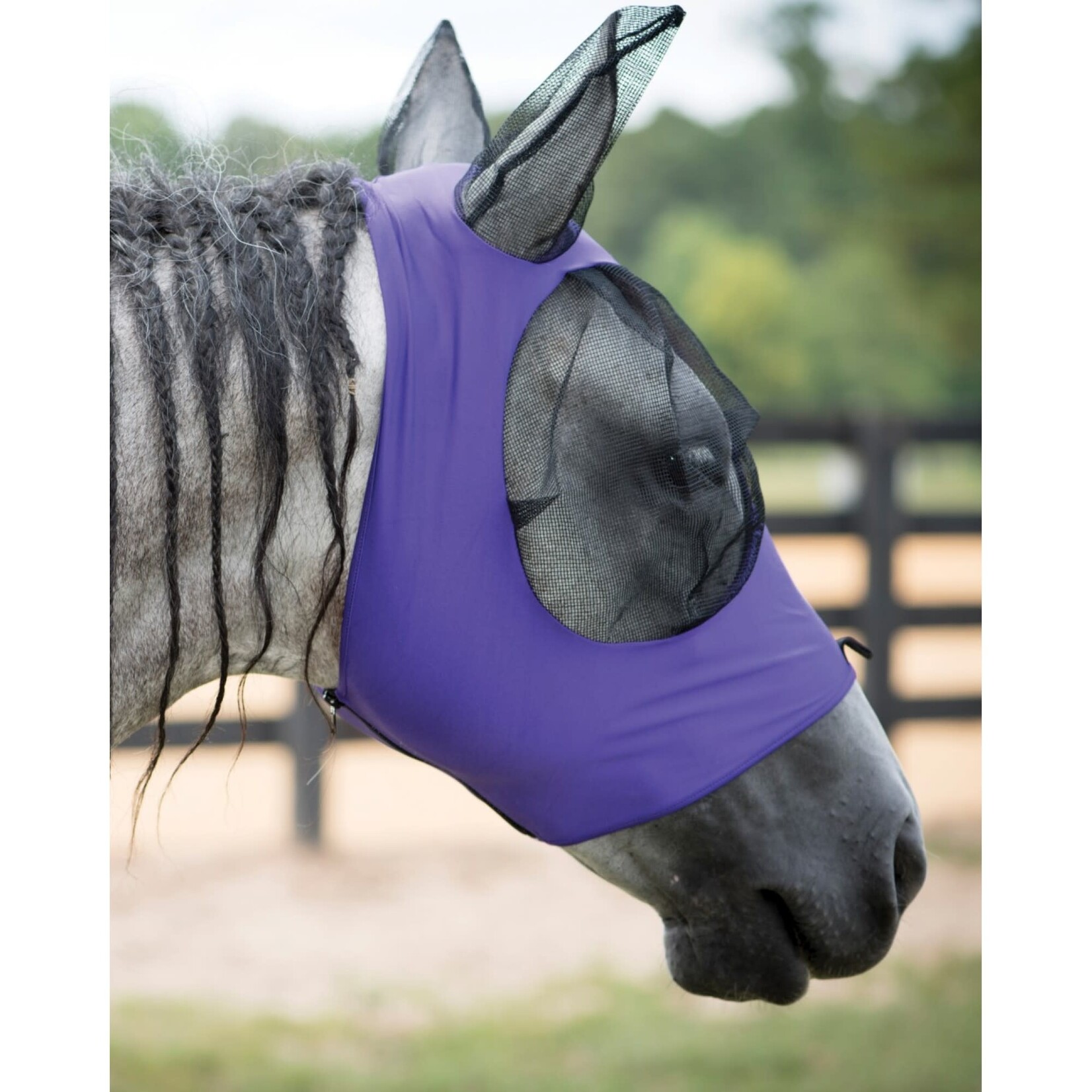 Equi-Sky Equi-Sky Lycra Fly Mask/with ears